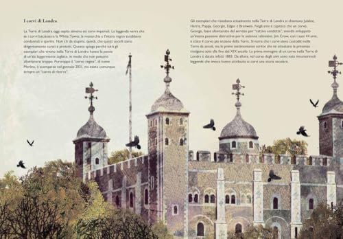 Di Corvi E Cornacchie - 6