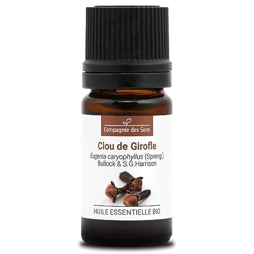 CLAVO - 5 mL - Aceite Esencial Orgánico de Calidad Superior - 100% Puro, Natural, Quimiotipado y Certificado AB
