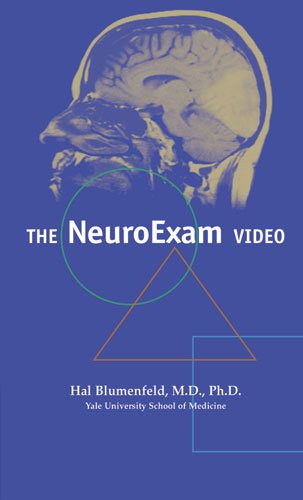 Best Neuroanatomy