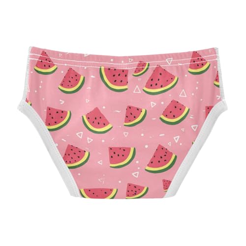 Wusikd Cute Watermelon Pink Boys' Underwear Cotton Boys Briefs Soft Toddler Underwear 2T2