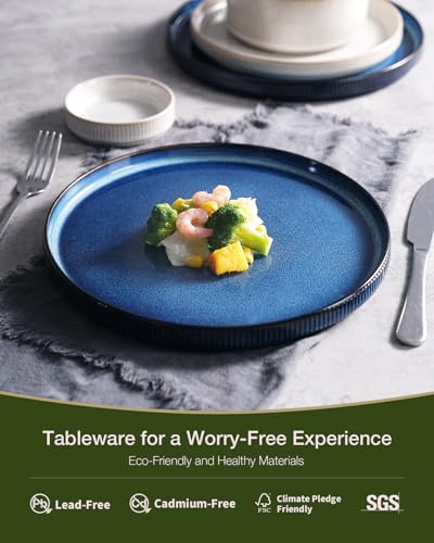 Image of Famiware Star 12-Piece Stoneware Dinnerware Sets for 4, Modern Rustic Dishes for Everyday & Formal Use, Reactive Glaze Plates and Bowls, Chip /Scratch Resistant, Microwave /Dishwasher Safe, White & Blue