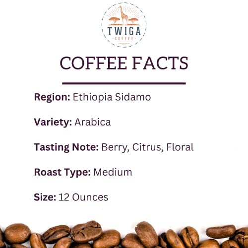 Twiga Coffee | Ethiopia Sidamo Coffee | Usda Organic | Fairtrade | Medium Roast | Whole Bean | 12 Oz #TOP4