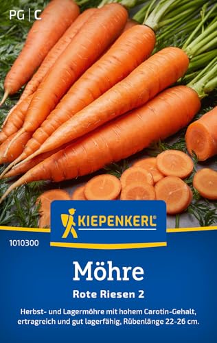 Kiepenkerl Möhrensamen Rote Riesen 2 1010300 - Herbst- und Lagermöhre mit hohem Carotin- Gehalt - circa 22-26cm - Gemüsepflanzen Saatgut Samen Gemüse Karotten