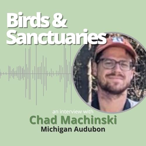 Birds & Sanctuaries with Michigan Audubon's Chad Machinski