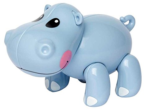 Tolo - Ippopotamo