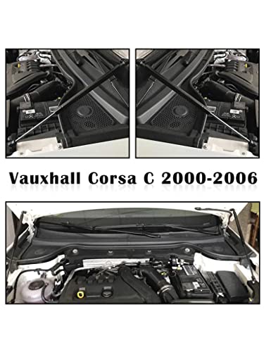 Vérin à gaz hydraulique pour hayon de coffre résolvant le blocage de Smart Fortwo - 6