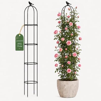 Yotoworth Garden Obelisk Trellis for Climbing Plants Outdoor, 6.3 ft Tall Rose Trellis Climbing Plants Support for Potted Light Vine Flower Vegetable Cucumber Trellis Raised Garden Bed, Black, 1PC