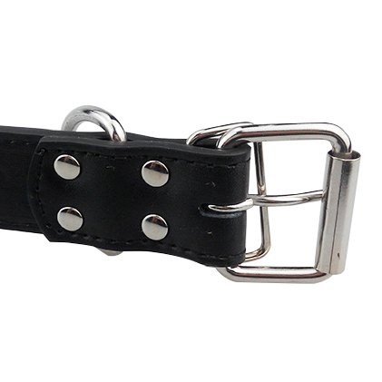 Adjustable Black Leather Studded Rivet Dog Collar Durable Spiked For Dogs (M, Black) (M, Black) #TOP3