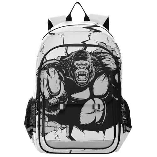 [SUKAU] S  bN LbY 킢 A4Ή e y jp w @\ S S v[g 