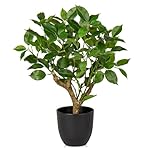 Briful 43CM Kunstpflanze Wie Echt Künstliche Ficus Pflanzen in Schwarzem Topf Dekopflanze für Fensterbank Wohnzimmer Badezimmer Dekoration