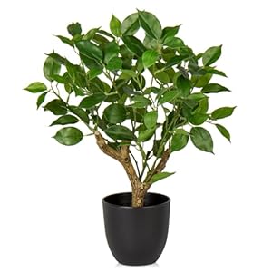 Briful 43CM Kunstpflanze Wie Echt Künstliche Ficus Pflanzen in Schwarzem Topf Dekopflanze für Fensterbank Wohnzimmer Badezimmer Dekoration