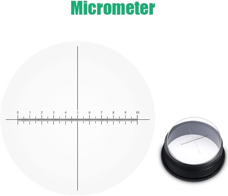 顕微鏡観察 顕微鏡用接眼レンズ WF10x/WF20x 実体顕微鏡用接眼レンズ 接眼レンズ マイクロメーター付 ハイアイポイント 広