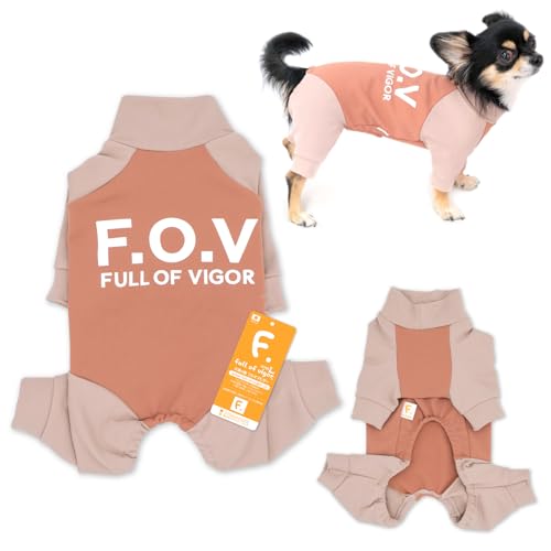 _bNX hbOvC N nCeV bVK[h Vђ ̕ tIurK[ 6/sN DL