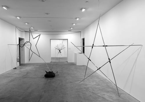 Ileana Sonnabend & Arte Povera. Ediz. Illustrata - 6
