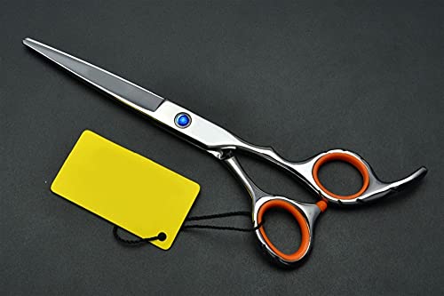 Ciseaux de coiffure à effiler avec lames crantées de précision pour dégrader