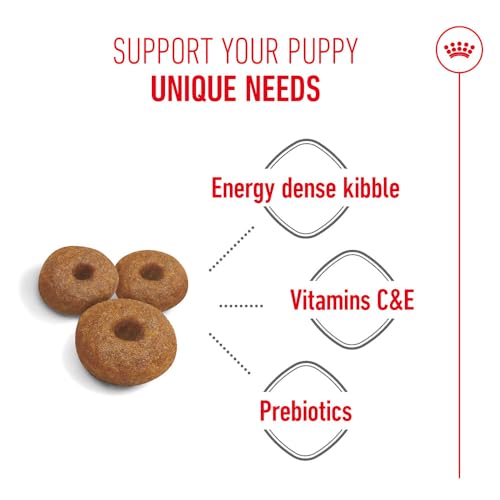 Image of Royal Canin Maxi Starter, Mother & Babydog Food, 15 Kg, Dry Food, Supports Complex Natural Defence & digestive health, Provides Gestation /Lactation Support, Supports Easy rehydration