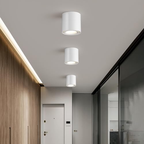 Image of ziidoo Spotlight Indoor Ceiling LED Lights,12W Modern Spot Light Fixtures 4000K White Lamp 360Adjustable Picture Wall Sconce for Living Room Hallway Gallery Flush Mount Directional (mid, Count, 1)