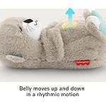 Fisher-Price Schlummer Otter Kuscheltier mit Atembewegung und Musik | Baby Erstausstattung Neugeborene | Baby Spielzeug 0 Monate + | Babyparty und Neugeborenen Geschenk, FXC66