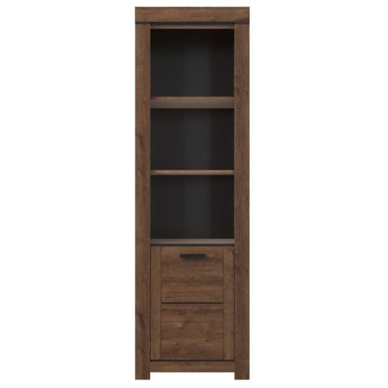 Bibliothèque Ouverte avec Armoire pour Le Salon Brass