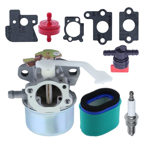 Kit filtre pour carburateur 698055 résout démarrage difficile moteur 121607 calage