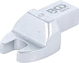 BGS