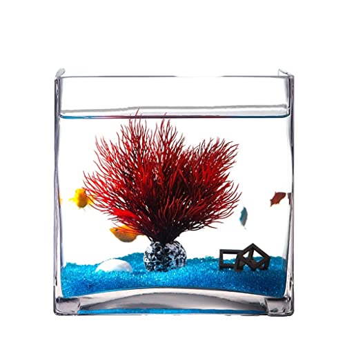 BNNP Pescado de Contenedores Personalidad Creative Square Glass Fish Tank Aquarium Home Sala de Estar de Escritorio Tortuga de Tortuga Decoración del Acuario Peceras (Color : S)