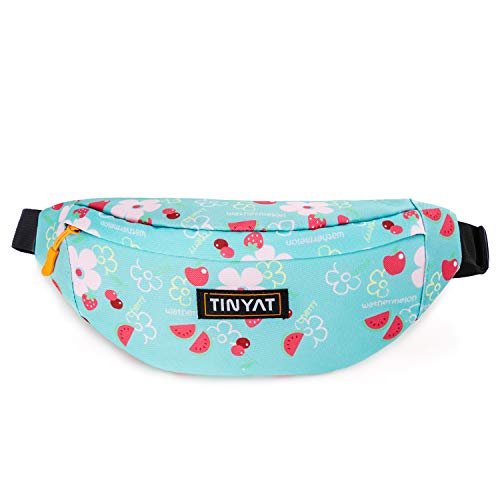 Tinyat Travel Fanny Bag Waist Pack Sling Pocket Super Lightweight For Travel Cashier's box, Tool Kit T201
