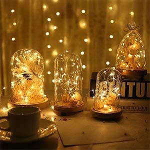 Lot De 12 Guirlandes Lumineuses à Piles - 20 LED - Fil Argenté - Étanches Et Flexibles - Mini