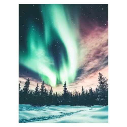 Pintar por Numeros Adultos Auroras boreales DIY Cuadros Decoracion Salon Modernos Árbol, Cuadros para Pintar por Numeros Niños 60 x 80cm, Kit Manualidades Adultos para Regalo Decoracion Pared LSJ1530