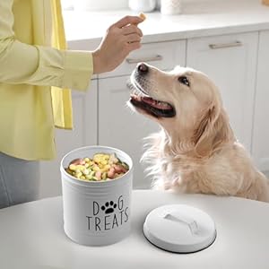 Largedogtreatcontainerairtight66tallx6roundwhitedogtreatjarforkitchencounterrustictreatstoragecanisterfordogscatssmallanimalsgiftsforpetowners Urban Country Home Decor Large dog treat container airtight 66 tall x 6 round white dog treat jar for kitchen counter rustic treat storage canister for dogs cats small animals gifts for pet owners urban country home decor