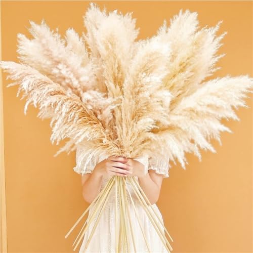 Ramo de pasto pampas natural de 20 tallos 39.37 pulg miniatura 3