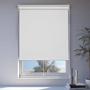 CHICOLOGY Roller Shades, Cordless Blinds, Window...