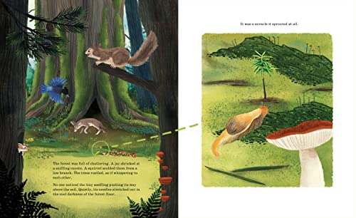 Listen To The Language Of The Trees: A Story Of How Forests Communicate Underground #TOP2