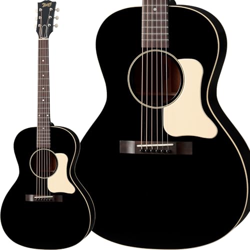 HISTORY ASH-L00/Adirondack BLK { GARM^[ AfB_bNXv[X tBbV}PU AR[XeBbNM^[ ubN  qXg[