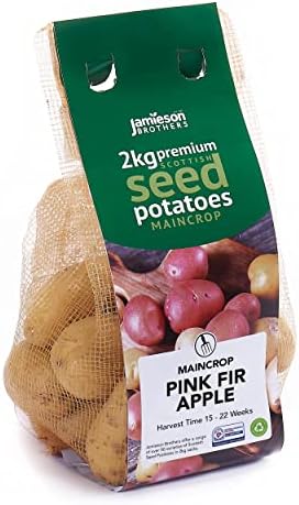 Jamieson Brothers 2kg Maris Piper Seed Potatoes (Approx. 20-25 Tubers)  Maincrop Grow Your Own Spuds  for Chips, Mashing & Roasting  Scottish-Grown & Ready to Plant at Home in Gardens & Allotments