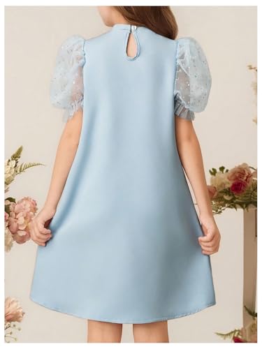 Girl's Cute Bow Dress Crew Neck Puff Sleeve Birthday Party Tunic Dresses2