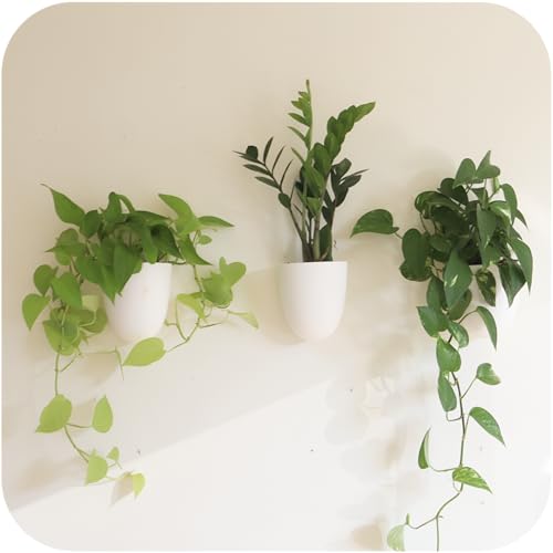 PlantPod Classic - Self-Watering Wall Planters (3, White) - Easy to Water and Install - Lightweight - Design Your Own Vertical Garden - Wall Planters for Indoor Plants