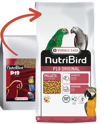 Nutribird P19 Original - Alimento para cría de Loros y papagayos Monocolor 10 kg | Comida para pájaros | Alimento para Loros V22131 Cover