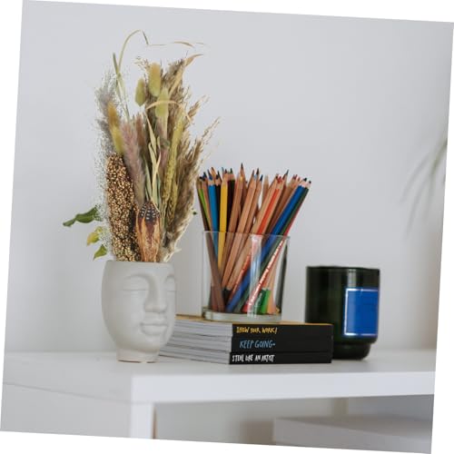 Ramo de pasto pampas seco para decoración miniatura 7