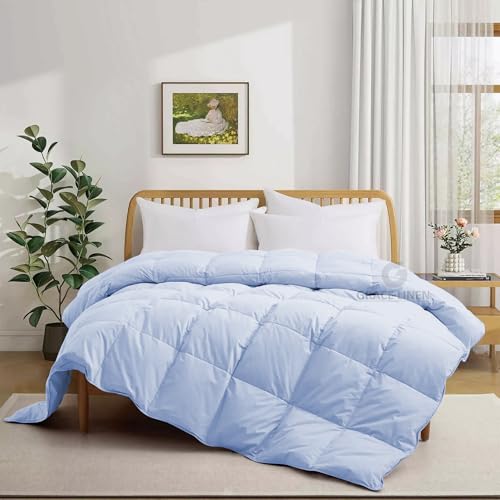 Image of 500 GSM Winter Blanket /Comforter Double Bed Size (90 inchX100 inch) - Blanket for Winter Double Size Unique Design Comforter Heavy Winter Quilted 500 GSM Microfiber Fill - Sky Blue Color