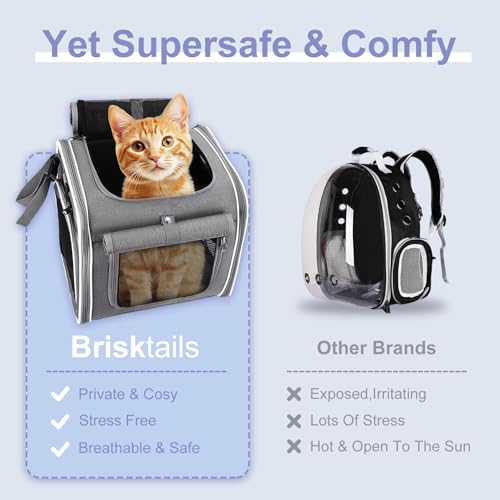 Hundekorb Fahrrad Vorne, 4-in-1 Hundekorb für Fahrrad, Erweiterbarer Hunderrucksack, Hunde-Fahrradkorb mit 4 Mesh-Fenster, 4-Offenen Türen, Haustier-Reisetasche für Katzen und Hunde