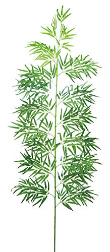 [p ou[c[ ̎} 240 qlgi