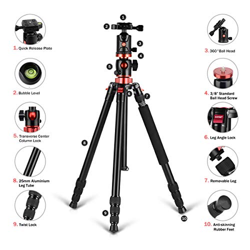 ZOMEi 75'' Tripod,Camera Tripod for DSLR,Ball Head Tripod Professional Tripods 4 Section Horizontal Tripod with 360 Degree Ball Head Plate for Canon DSLR DV Scope Camcorder and Projector