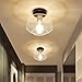 DLLT Farmhouse Semi Flush Mount Ceiling Light, Classic Glass Pendant Ceiling Light Fixture-Transparent Shade Lighting for Hallway, Entryway, Passway, Dining Room, Bedroom, Corridor, Foyer, E26 Base