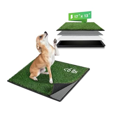 Tapis Chien Pipi MEEXPAWS Cover