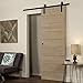 Fittyz 6FT 183cm Herraje para Puertas Correderas Kit para Puerta Corredera Granero...