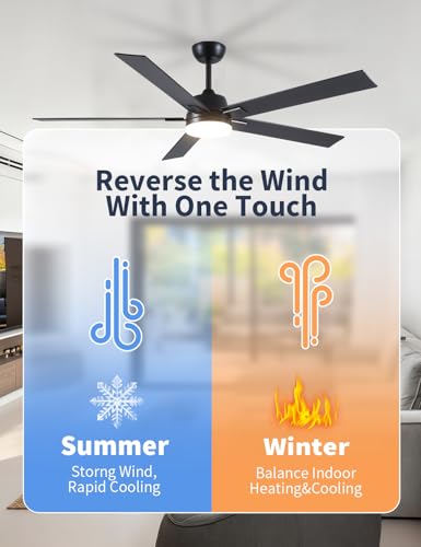 Image of Rayqueen 60 Inch Black Ceiling Fans with Lights and Remote,Includes Downrod