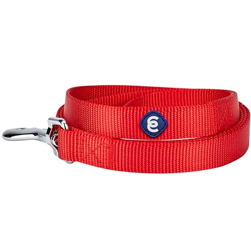 Blueberry Pet Essentials Rouge Red Dog Leash for X-Small -5' * 3/8" Dogs | Heavy Duty Nylon Lead | Lightweight Puppy & Cat Leash for Walking & Training - Thumbnail 6