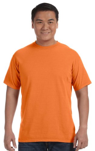 Image of Comfort Colors Adult Short Sleeve Tee, Style G1717