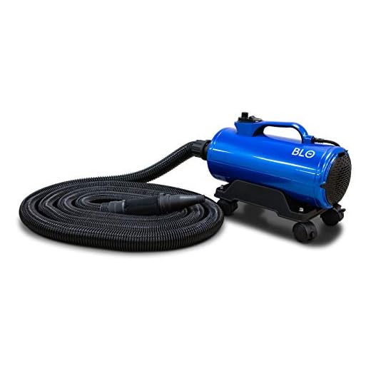BLO Car Dryer AIR-GT - Quickly Dry Your Entire Vehicle After a Wash - No More Drips, No More Scratches- Adjustable Air Speed - Extra Long Hose - Rotating Wheels